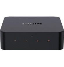 WiiM Pro Plus - network player