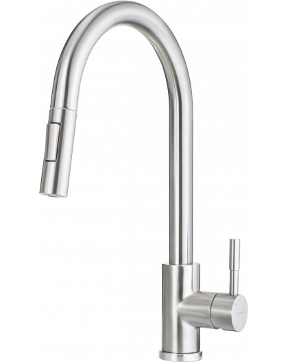 Kitchen faucet with pull-out spout