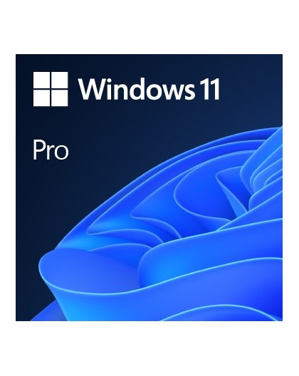 Microsoft Windows 11 Pro OEM