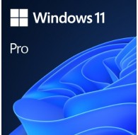 Microsoft Windows 11 Pro OEM