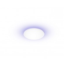 Yeelight Light smart ceiling lamp C 2201C300