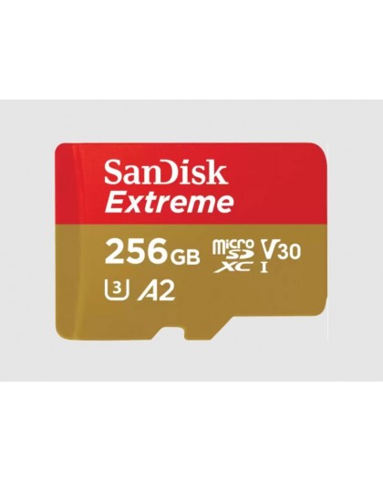 SanDisk Extreme 256 GB MicroSDXC UHS-I Class 10