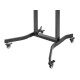 Equip 55"-100" Mobile Motorized LFD Trolley