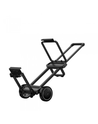 EcoFlow Cart
