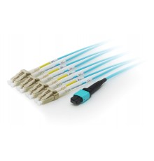 Equip MTP/MTP Trunk Fiber Optic Patch Cable, OM4, 5m