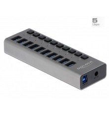 DeLOCK External 5 Gbps USB Hub with 10 Ports + Switch