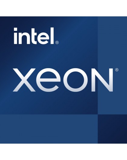 Intel Xeon E-2378G processor 2.8 GHz 16 MB Smart Cache Tray