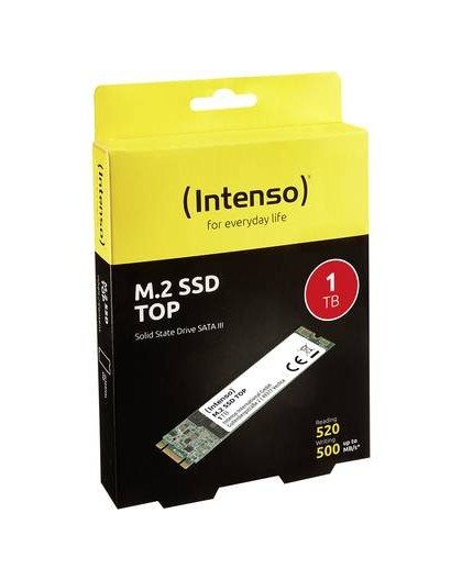 SSD Drive M.2 1TB Intenso