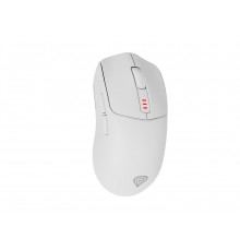 GENESIS Zircon 500 mouse Gaming Right-hand RF Wireless + Bluetooth + USB Type-C Optical 10000 DPI