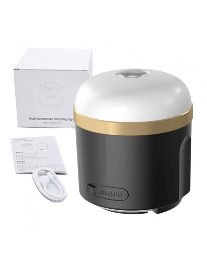 EcoFlow camping light (N).