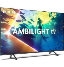 Teler Philips 55"