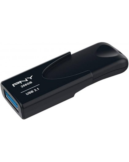 PNY Attache 4 3.1 256GB