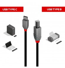 LINDY 1m USB 2.0 Type C to B Cable, Anthra Line