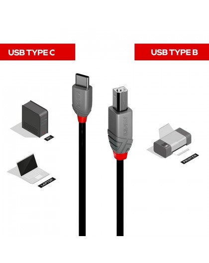 LINDY 1m USB 2.0 Type C to B Cable, Anthra Line