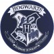 Subsonic Harry Potter mängumatid