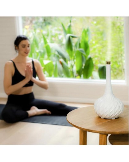 Ellia ARM-508WT Harmony Aroma Diffuser