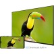 ProCaster 32SL702H 32" Full HD Android LED telerull