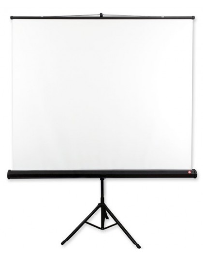 Avtek Tripod Standart 175 projection screen 1:1