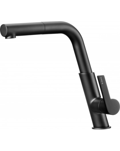 Kitchen faucet with pull-out spout