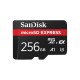 CARD Express Micro 256GB