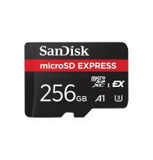 CARD Express Micro 256GB