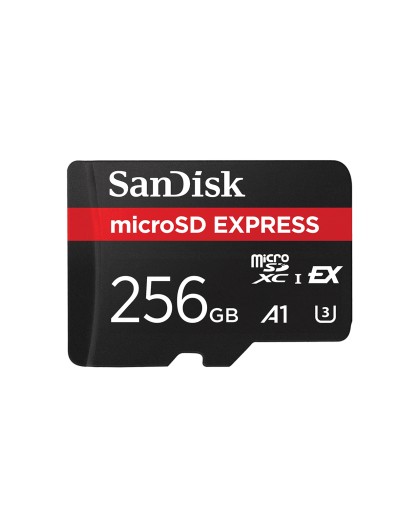 CARD Express Micro 256GB