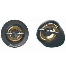 Pioneer TS-A301TW