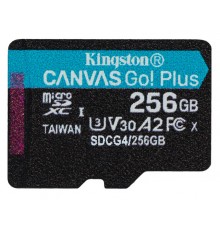 Kingston Canvas Go Plus MicroSDXC Memory card 256GB