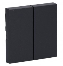GIRA 329528 Switch 2f System 55 Anthracite