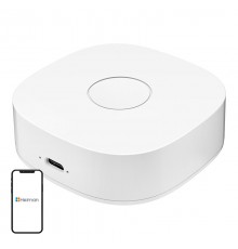 Smart home WS2GW-R WiFi