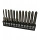 Wera Bit-Box 20 BTZ PH