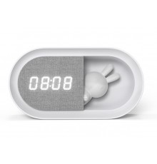 Produkto nuotrauka