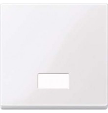 MERTEN 432825 aws Push Button with Symbol Window Rectangular Glossy