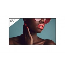 FW-65BZ40L 65INCH PRO