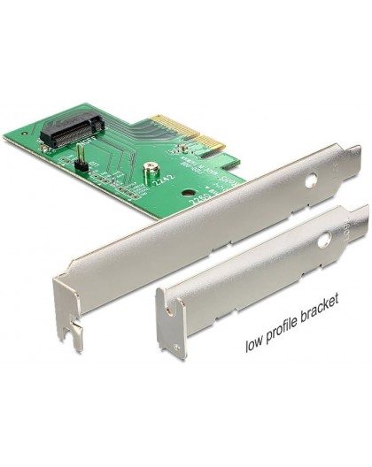 DeLOCK PCI Express x4 - M.2 NVMe Adapter