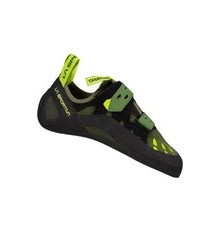 Tarantula olive neon