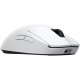Logitech PRO X Superlight 2 Wireless mouse