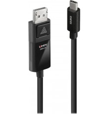 Inca IDPD-20 DisplayPort Cable 2 m Black