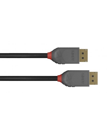 LINDY DisplayPort Cable Anthra Line 1m