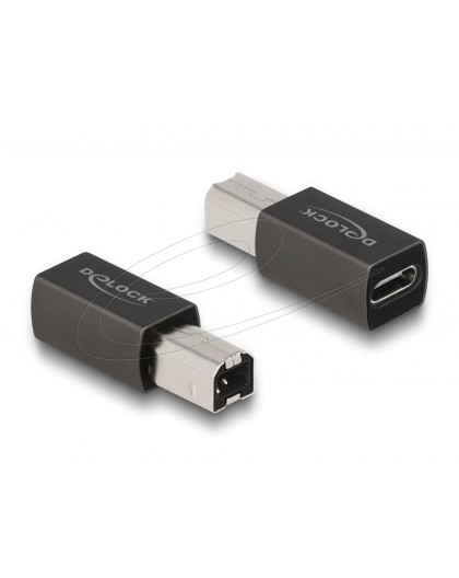 DELOCK Adapter USB 2.0 A pesa B pesa