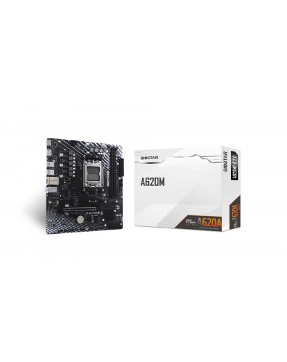 BIOSTAR A620MT-E 2.0 motherboard