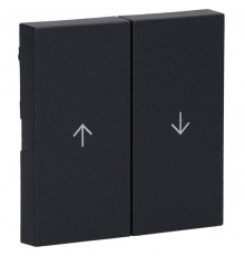 GIRA 329428 Switch 2f Arrow System 55 Anthracite