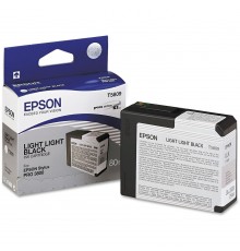Epson C13T580900 light black