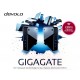 Devolo GigaGate Starter Kit 2-Pack High Speed WLAN Bridge Repeater