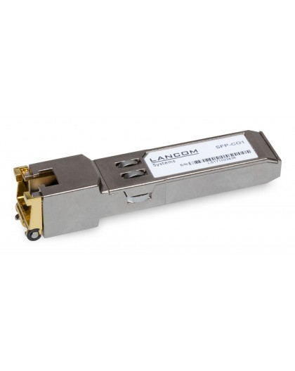SFP-CO1 (Didmeninė 10)