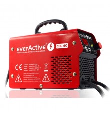 everActive automatic inverter 12/24V battery charger with 300A "boost" function