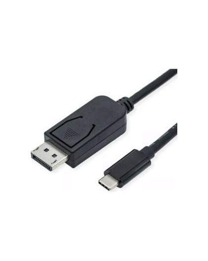 ROLINE ADAPTERKBL USB-C-DP.2M
