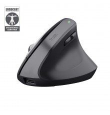 Trust Bayo+ mouse Office Right-hand RF Wireless + Bluetooth Optical 2400 DPI
