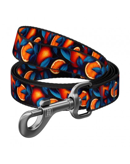 Nylon dog leash, pattern ''Oranges'' length 122 cm Waudog