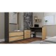 Topeshop DANY ANT/ART KPL computer desk